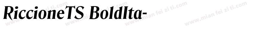 RiccioneTS BoldIta字体转换